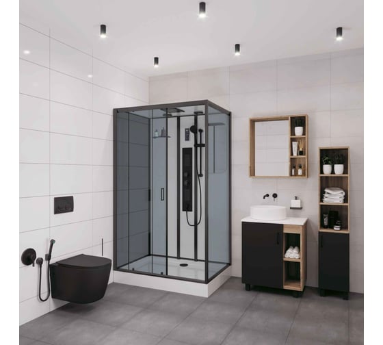Душевая кабина Niagara NG-6912-01GQL BLACK (1200x800x2100) низкий поддон(16 см) стекло тонированное,, 5 мест 69120134GQLBLACK