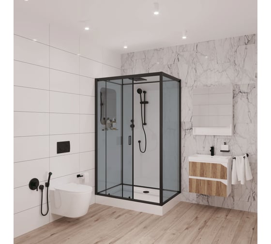 Душевая кабина Niagara NG-6912-01QL BLACK (1200x800x2100) низкий поддон (16 см) стекло тонированное, 4 места 69120134QLBLACK