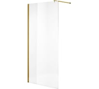 Душевая перегородка NIAGARA NG-643-11 GOLD (110x195), 1 место NG-643-11GOLD