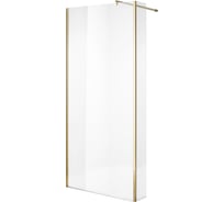 Душевая перегородка NIAGARA NG-644-11 GOLD (110x195), 1 место NG-644-11GOLD