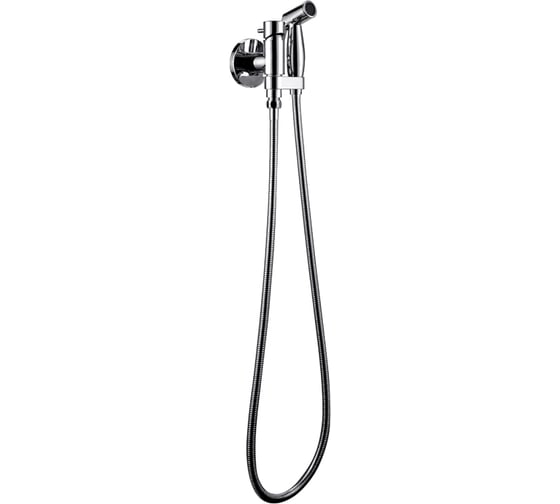 Смеситель с гигиеническим душем Bravat Eler D9137CP-RUS 00-00041392