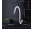 Смеситель для кухни РМС SL137W-016F 6