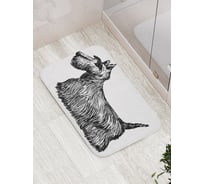 Коврик для ванной комнаты и туалета противоскользящий JOYARTY Чешский терьер 52x77 см bath_71955