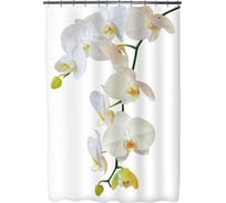 Шторка для ванной Fora Магия PH22