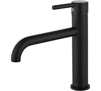 Смеситель для раковины Homium One Black 05 FaucOB5