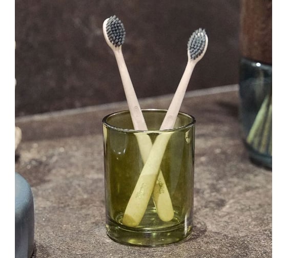 Стакан для зубных щеток Moroshka Teriberka, 8x8х10 см, цвет зеленый 977-312-02