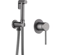 Смеситель с гигиеническим душем ABBER Emotion никель AF8825NG