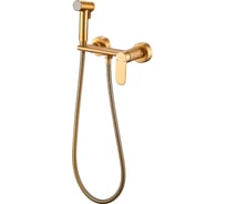 Гигиенический душ со смесителем HAIBA матовое золото HB5516-5