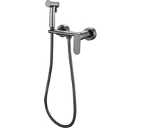 Гигиенический душ со смесителем HAIBA оружейная сталь HB5516-3