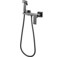 Гигиенический душ со смесителем HAIBA оружейная сталь HB5517-3