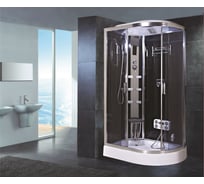 Душевая кабина Niagara NG-903-01L (1200x8002200) низкий поддон (16 см) стекло тонированное, 5 мест 9030135L