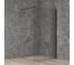 Душевая перегородка Paini WalkIN 100x195, стекло прозрачное PAINI-WalkIN100C 1