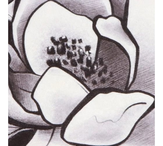 Коврик для ванной Этель Magnolia 53x63±2см см, 100% п/э, велюр 9406667