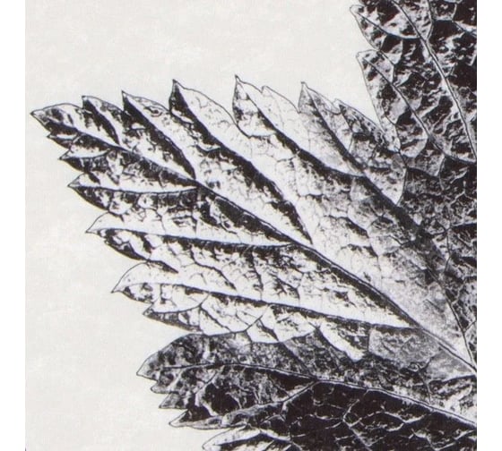 Коврик для ванной Этель Natural print 57x57±2см см, 100% п/э, велюр 9406666