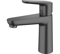 Смеситель для умывальника RAGLO графит R31.10.09