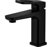 Смеситель для умывальника RAGLO черный R51.10.06