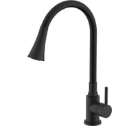 Смеситель для кухни SPLENKA черный S201.4306.06