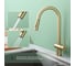 Смеситель для кухни SPLENKA с выдвижным изливом, золотой сатин S204.49.03 4