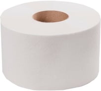 Туалетная бумага НРБ 160 м., двухслойная, 14 гр/м2 NRB-210214