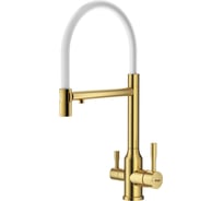 Смеситель для кухни со съемным изливом и подключением к фильтру RAGLO золотой сатин R81.63.03