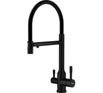 Смеситель для кухни со съемным изливом и подключением к фильтру RAGLO черный R81.63.06