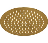 Верхняя душевая насадка WasserKRAFT A208