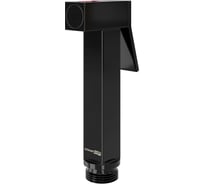 Гигиеническая лейка с фиксатором WasserKRAFT A214