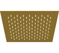 Верхняя душевая насадка WasserKRAFT A198