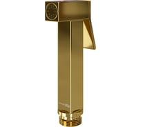 Гигиеническая лейка с фиксатором WasserKRAFT A216