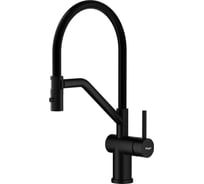 Смеситель для кухни со съемным изливом RAGLO черный R86.41.06