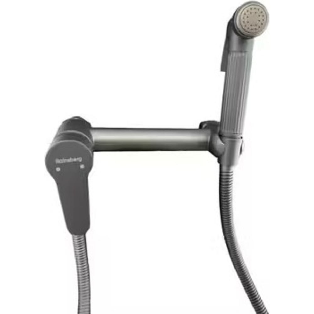 Смеситель для биде с гигиеническим душем Rainsberg титан RH515Y ...