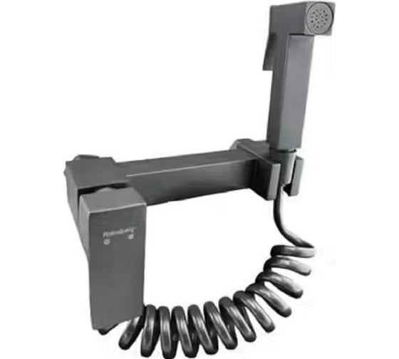 Смеситель для биде с гигиеническим душем Rainsberg титан RH525Y