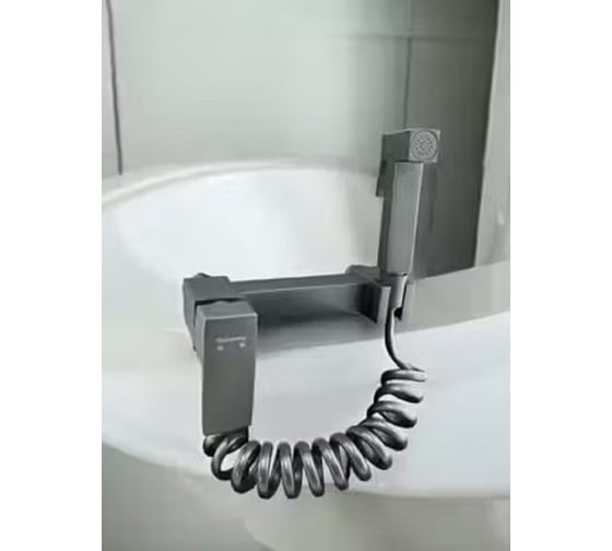 Смеситель для биде с гигиеническим душем Rainsberg титан RH525Y