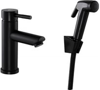 Смеситель для раковины с гигиеническим душем FASHUN A58101A-7