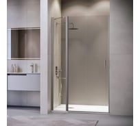 Душевая дверь RGW 120*195 LE-004-Gr Серый/Прозрачное/6 мм 351200412-110