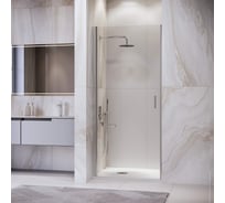 Душевая дверь RGW 70*195 LE-003 Хром/Прозрачное/6 мм 351200307-11