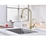 Смеситель для кухни Paulmark UNIVERSAL, светлое золото,  Un213880-LG 3