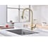 Смеситель для кухни Paulmark UNIVERSAL, светлое золото,  Un213880-LG 4