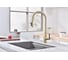 Смеситель для кухни Paulmark UNIVERSAL, светлое золото,  Un213880-LG 5