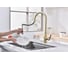 Смеситель для кухни Paulmark UNIVERSAL, светлое золото,  Un213880-LG 8