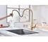 Смеситель для кухни Paulmark UNIVERSAL, светлое золото,  Un213880-LG 9