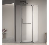 Душевой уголок RGW 100х100х195 PA-081 B трапеция/черный/матовое/6 мм 35088100-24