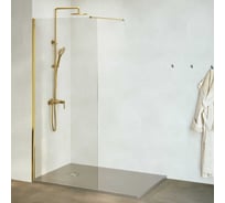 Душевая перегородка RGW 120х195 WA-002-G золото, прозрачное, 6 мм, 1190-1205 мм, Easy 35100212-16