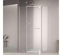 Душевой уголок RGW 90х90х195 PA-081 трапеция/хром/матовое/6 мм (Easy) 35088199-21
