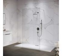 Душевая перегородка RGW 100х195 WA-016 хром, прозрачное, 8 мм 35101610-11