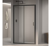 Душевая дверь RGW 160*195 PA-14 B Чёрный/Прозрачное/6 мм, 158-162, EasyClean 41081416-14