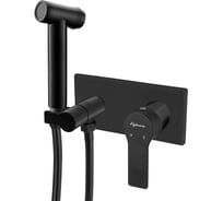 Встраиваемый смеситель-моноблок для гигиенического душа Elghansa Berkshire 15Q0943-Black (Set-84)