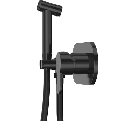 Встраиваемый смеситель-моноблок для гигиенического душа Elghansa Dynamic 15R0883-Black (Set-84)