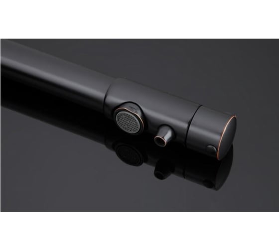 Смеситель для кухни FRAP GAPPO G4390-10 с выходом для питьевого фильтра, черный 534934