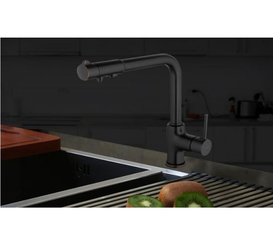 Смеситель для кухни FRAP GAPPO G4390-10 с выходом для питьевого фильтра, черный 534934